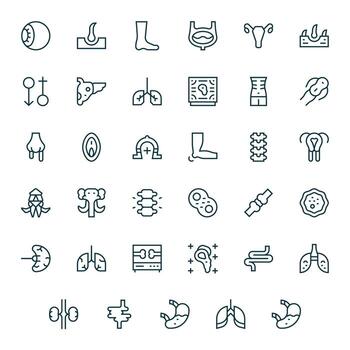 Anatomy Icon Toolkit featuring 35 Pixel Aligned 128x128 Regular Line elements vector