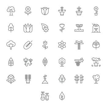 Botany Scalable Set featuring 32 Display Perfect Thin Line Retina Ready Icons vector