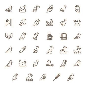 35 Regular Line Icons for Avian in crisp High Resolution Pixel Aligned resolution vector