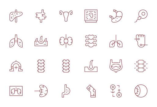Anatomy Icon Repository containing 24 Thin Line 256x256 Editable graphics vector