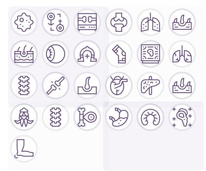 Anatomy Icon Set with 25 Regular Line 64x64 Display Perfect Graphics vector