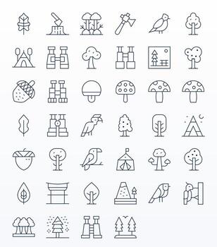 Forest Icon Set with 40 Thin Line 256x256 Pixel Optimized Graphics vector