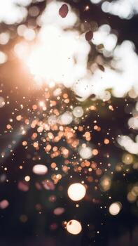 Golden Bokeh Lights and Shadows Create a Magical, Dreamy Feeling photo