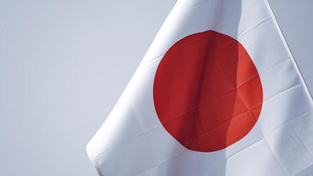 Close up of the National Flag of Japan With a Red Circle on White photo