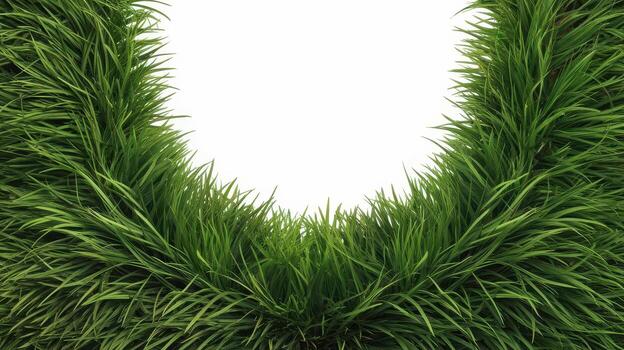 Lush Green Grass Arranged in a Semi Circle Shape on White Background photo