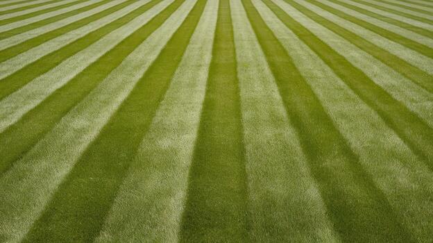 Lawn With Parallel Green Stripes Freshly Mowed in the Afternoon photo