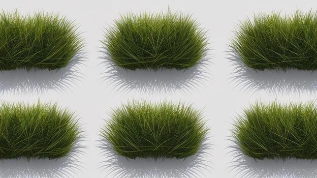 Green Grass Tufts Are Arranged Evenly Across a Plain White Background photo
