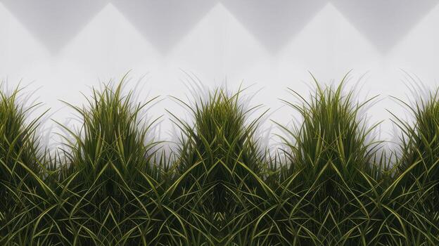 Green Grass Grows in Front of a Stark White Wall With Pyramid Shaped Shadows photo