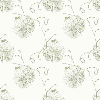 Grapevine imprints pattern, grape leaf with curly tendrils, botanical stamp on white background. vector
