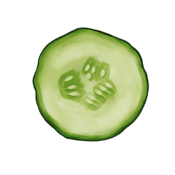 un' superiore Visualizza di un' acquerello affettato cetriolo, in mostra suo circolare forma e semi nel il centro. il cetriolo è vivace verde con un' liscio struttura, png