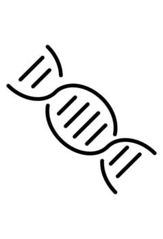 contorno icono de un adn doble hélice estructura. lineal símbolo para genética, biología, o científico investigación. pictograma representando un molecular código o vida estructura. vector