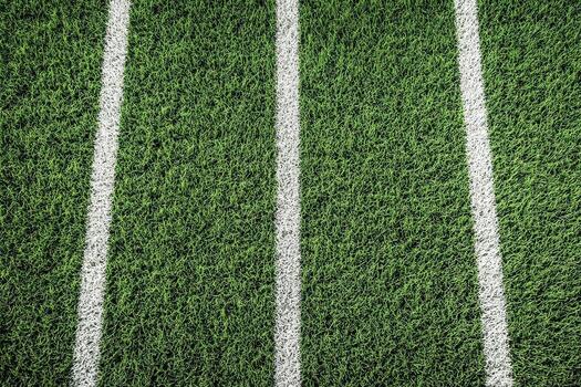 An view of a green football field with white markings photo