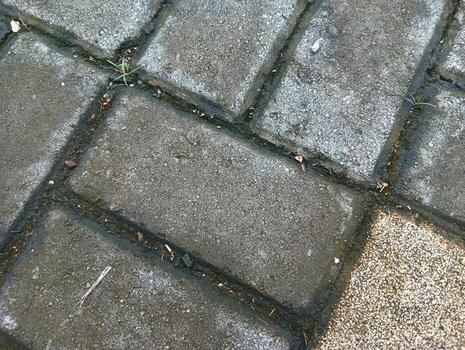 Weathered stone pavement with moss growing between rectangular patterned blocks. photo