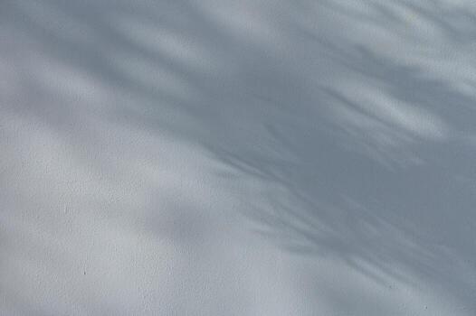 Soft shadows of leaves cast on a house wall in sunlight. Natural abstract background with light and texture. Calm summer atmosphere in a Mediterranean setting. photo