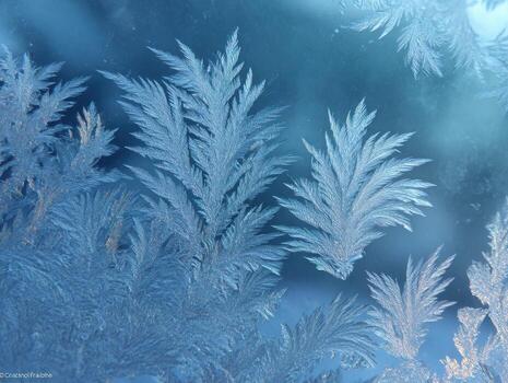 The Delicate Design Of Frost Ferns On A Glass Pane photo