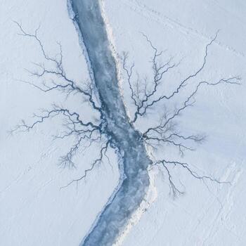 A Frozen River Forming an Abstract Network Pattern photo