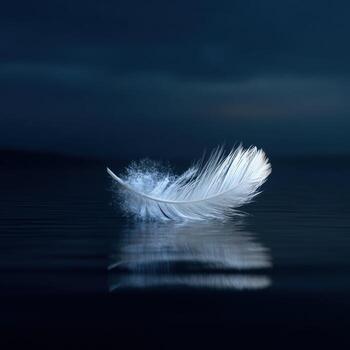 Gracefully Surrendering to the Stillness of the Water photo
