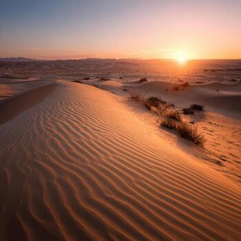 Sunrise Over A Tranquil Dune In The Sahara Desert photo