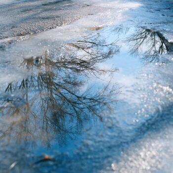 Frozen Puddle Showing Impressionist Light photo