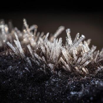 Tiny Frost Crystals Seen On Sheeps Wool Up Close photo