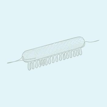 Detailed depiction of a single-celled microorganism with a cylindrical shape and hair-like structures extending from its vector