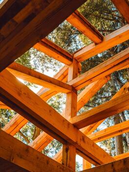 View of a partially constructed wooden roof framework amidst tall trees in a forest setting photo