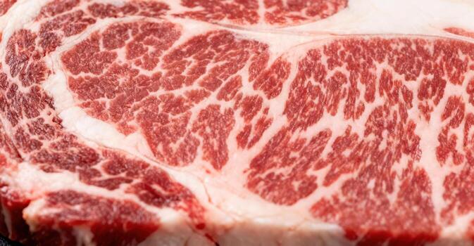 Close-up macro shot of marbled raw beef steak with rich marbling. photo
