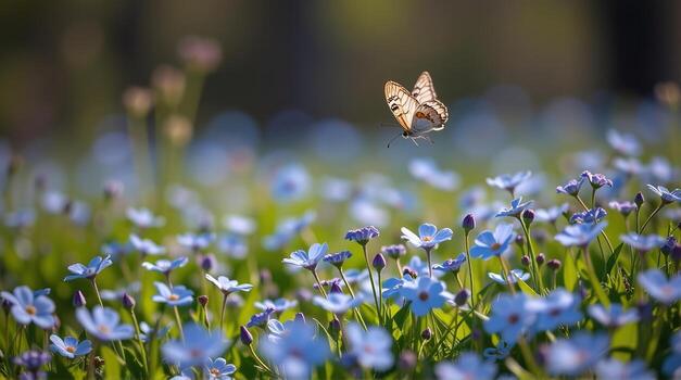 A side angle reveals a spring meadow overflowing with enchanting forget-me-nots shimmering in various shades of blue, as two butterflies elegantly hover above, their delicate movements photo