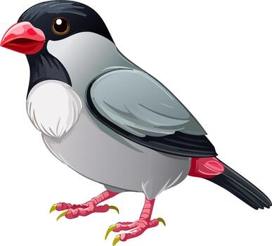 Java Sparrow with Red Beak and Grey Plumage vector