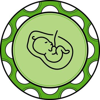 Placenta High Quality Flat Object High Quality Flat Object vector