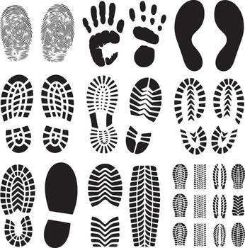Fingerprints Handprints and Footprints Set of Illustration Graphic Elements on Transparent Background vector
