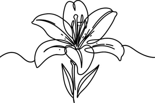 Lily minimalist one line drawing Elegant lily sketched in continuous line art symbolizing purity renewal and refined beauty vector
