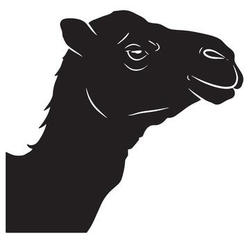 Black and white illustration of a camel head profile with a smiling expression vector