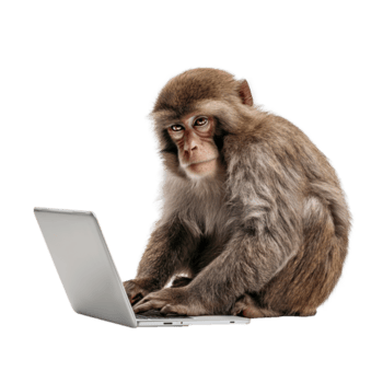 allvarlig apa skriver på bärbar dator dator, produktivitet, och teknologi begrepp, isolerat på transparent bakgrund png