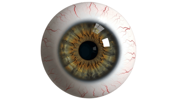 Detailed Human Eye with Brown Iris and Bloodshot Sclera on Transparent Background png
