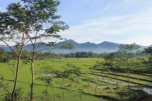 A view of a field with a train in the background photo