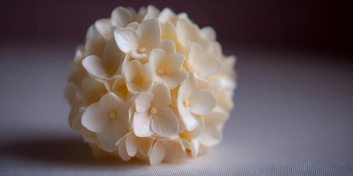 un delicado crema de colores flor cabeza con muchos pétalos descansa en un texturizado superficie con un suave difundido antecedentes foto