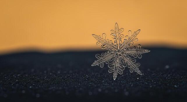 Macro Photograph of a Single Perfect Snowflake on a Dark Textured Surface against a Warm Background photo