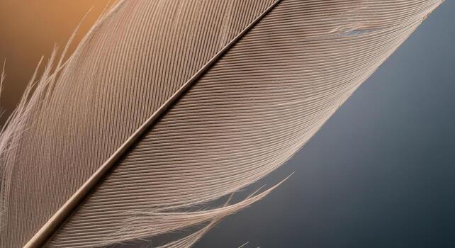 Delicate Bird Feather Abstract Minimalist Design Element for Texture Pattern and Backgrounds photo