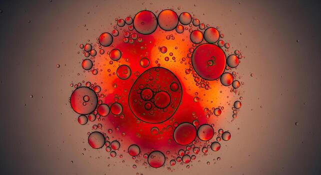 Microscopic Blood Cells Under a Microscope Scientific Macro View of Biological Cell Structures Red and Orange Abstract Art Design photo