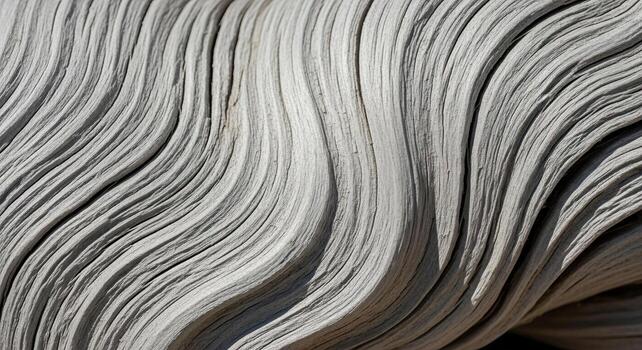 Abstract weathered wood texture background of an old tree log showing unique patterns photo