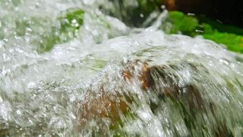 Flowing water over green rocks video