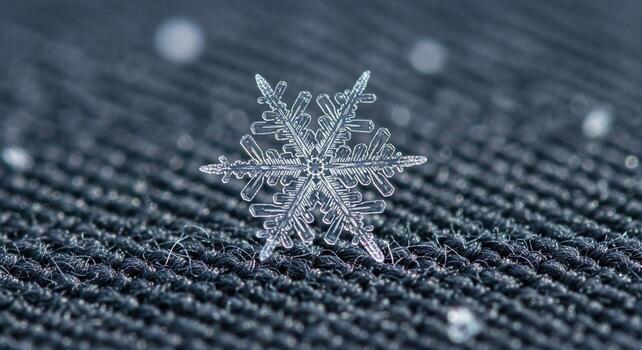 Macro Photo of a Unique Snowflake Crystal Resting on a Textured Dark Surface