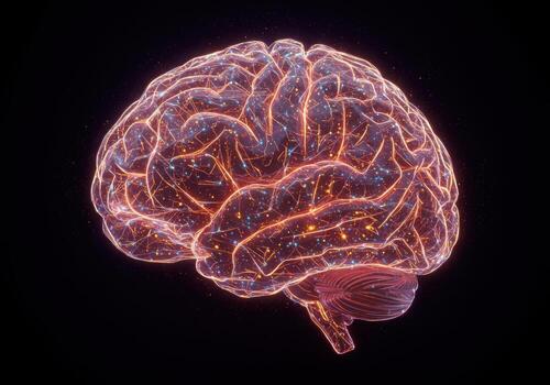 Stunning digital visualization of a glowing human brain with intricate neural network connections, representing intelligence and complex thought processes. photo