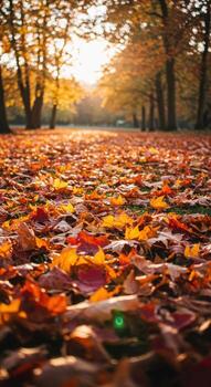 dorado otoño parque camino alfombrado en vibrante caído hojas con calentar luz de sol filtración mediante árboles, atractivo un sereno paseo foto