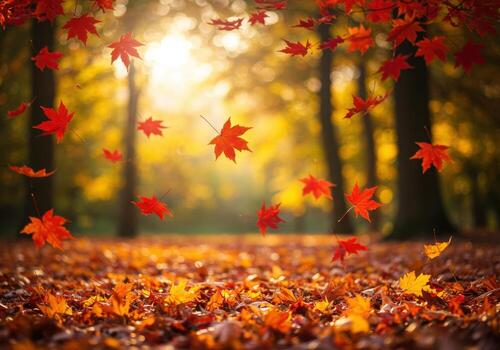 Vibrant autumn leaves gracefully descend in a sun-drenched forest, creating a magical, warm, and inviting seasonal scene photo