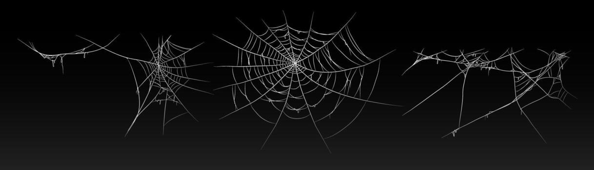 Halloween old spooky cobweb with various sizes and shape set vector