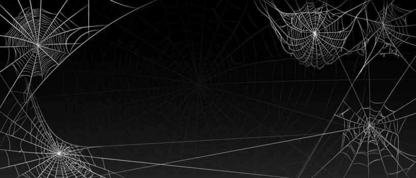 Halloween old spooky cobweb with various sizes and shapes background. vector
