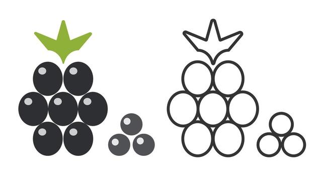 Group of line icons illustrating blackberries, showcasing different sizes and arrangements. The icons focus on the unique shape and textures of this popular fruit variety. vector