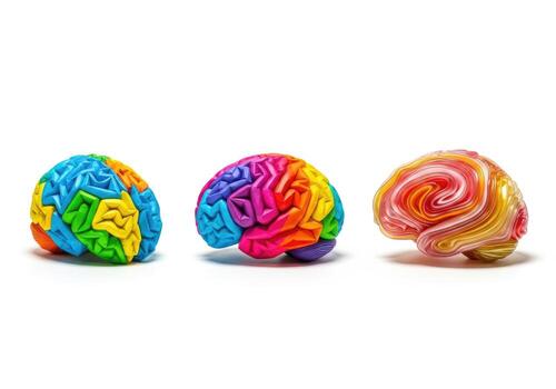 Three colorful brain models isolated on white background photo